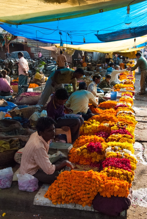 Jaipur: flower bazaar